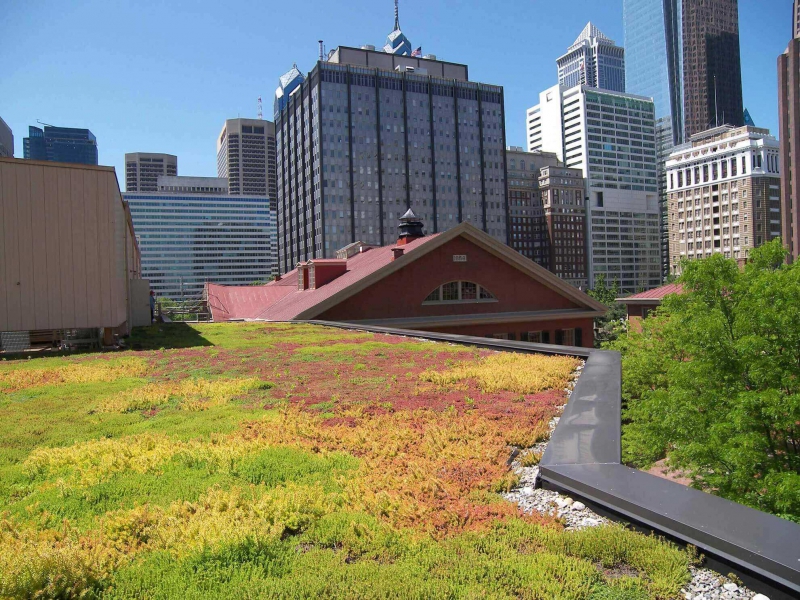 paysagiste-MOUANS SARTOUX-min_green-roof-portfolio-4